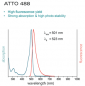 Preview: ATTO488-Actin (alpha-Actin skeletal muscle, rabbit) - 2x100µg