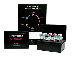 Actin-Toolkit Fluorescence Microscopy (ATTO390-Actin, alpha-cardiac actin)