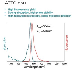 ATTO550-Actin Skeletal muscle alpha-Actin (rabbit) 5x100µg
