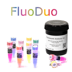 FluoDuo (Customized ATTO Secondary Antibody Kits)