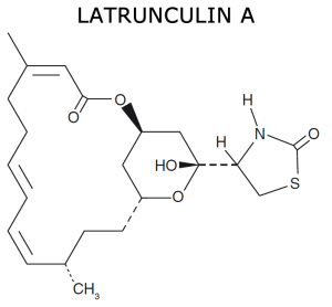 Latrunculin a chemical structure