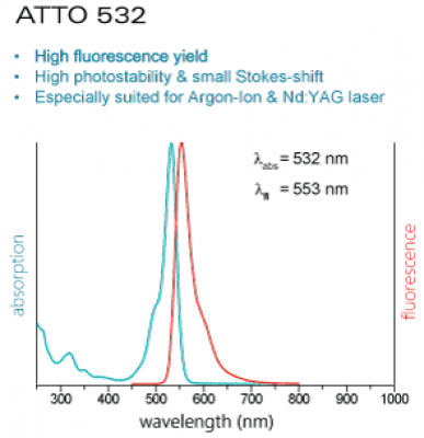 Actin-Toolkit Fluorescence Microscopy (ATTO532-Actin, alpha-cardiac actin)