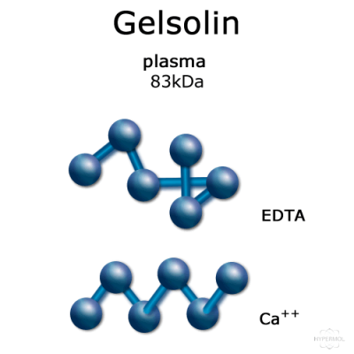 Gelsolin bovine plasma molecule cartoon